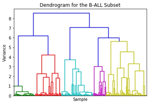 Dendrogram